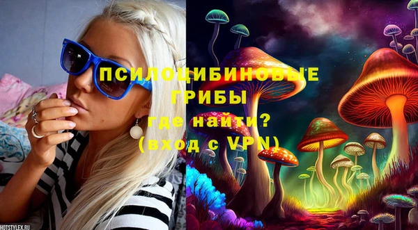 эйфоретик Богданович